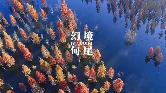 社区食堂暖胃又暖心（新春走基层）